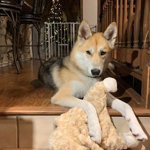 Meet your Posher, Kay